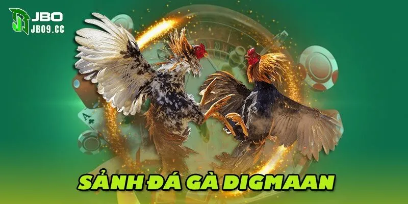 Luật chơi và quy định của digmaan đá gà tại JBO